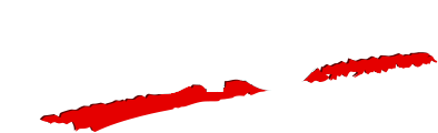 Logo SASIC Protection Incendie blanc